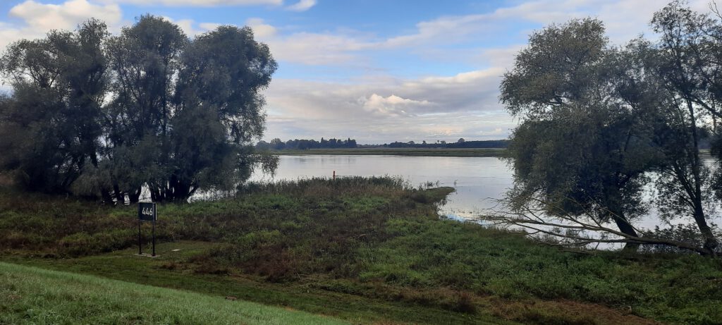 Hochwasser Elbe 05.10.24